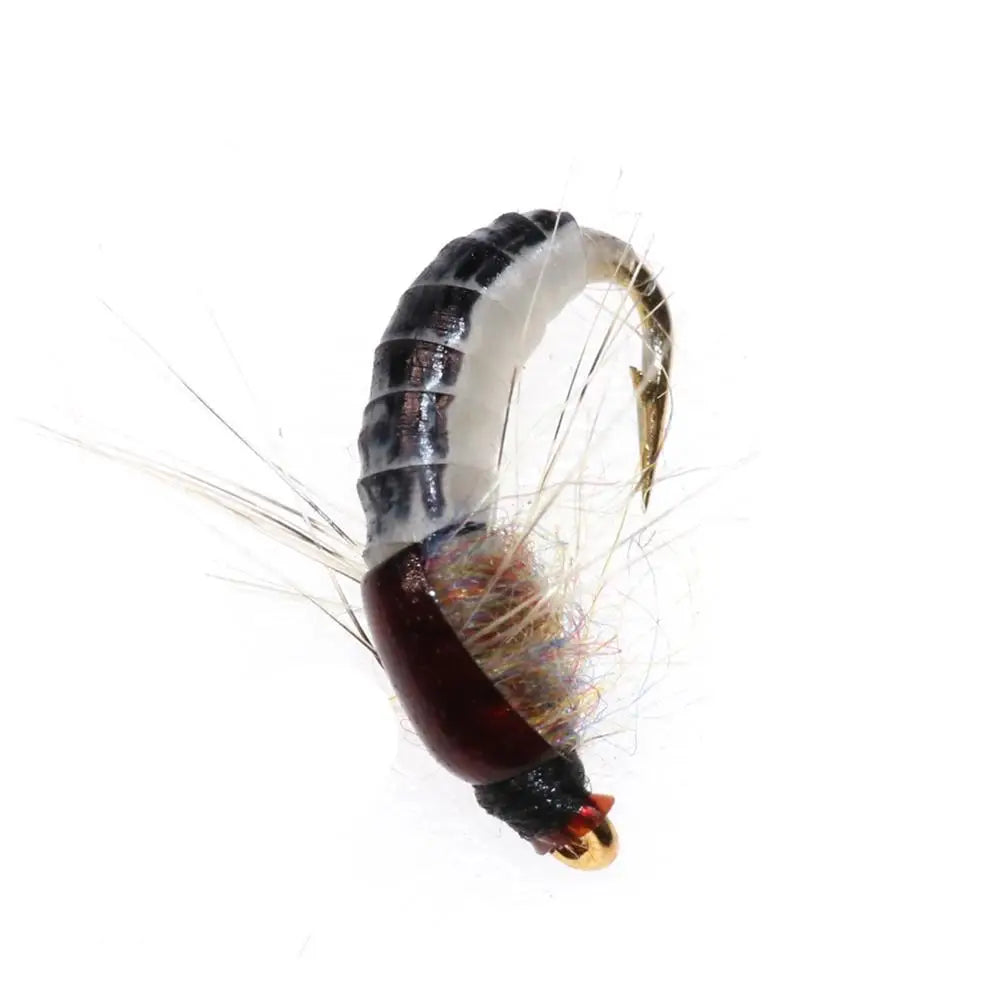 Leurre insecte Nymph Scud 6pcs