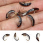 Leurre insecte Nymph Scud 6pcs