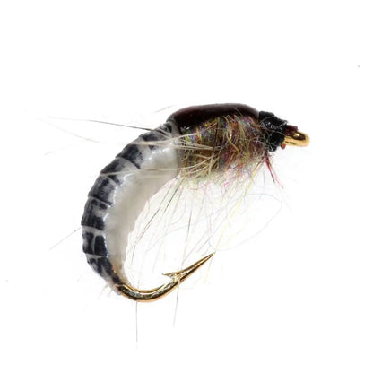 Leurre insecte Nymph Scud 6pcs