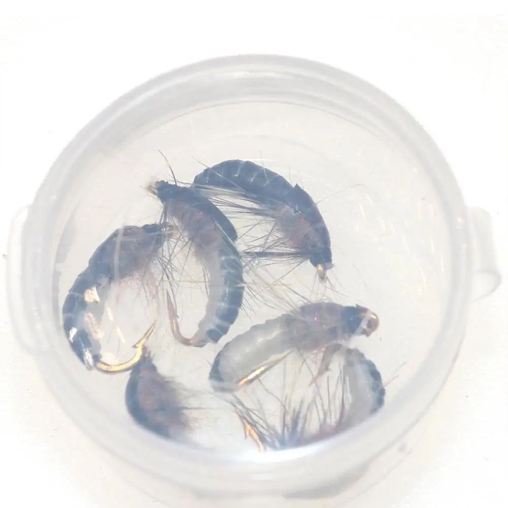 Leurre insecte Nymph Scud 6pcs