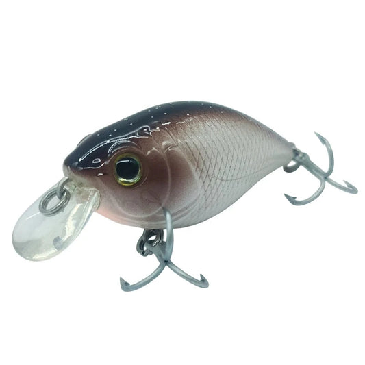 Leurre Glide Snap BASSKING 5,5cm